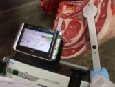 肉用牛部：枝肉のオレイン酸測定
