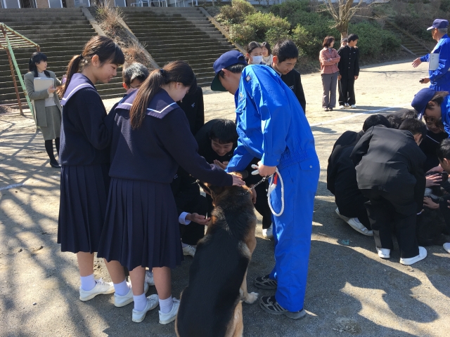 高岡中学校　職業講話２　キジマ警察犬　ふれあい中