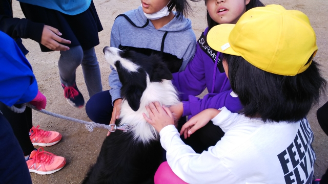 犬との触れ合い活動の様子