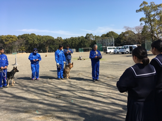 高岡中学校　職業講話２　キジマ警察犬　講話中