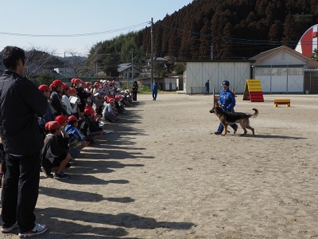 警察犬訓練の実際を見学