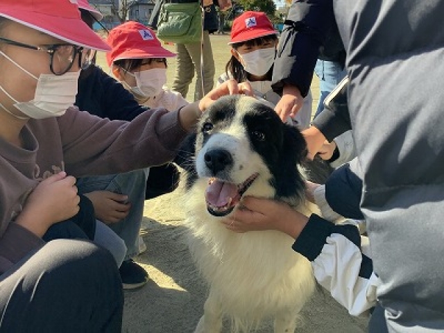 警察犬との触れ合い