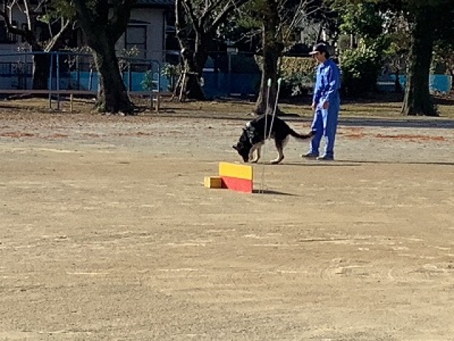 訓練の様子