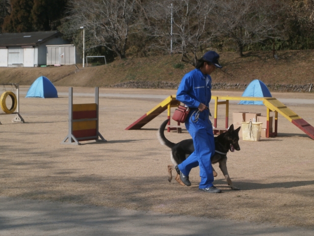 訓練の様子を見せてくださっている様子